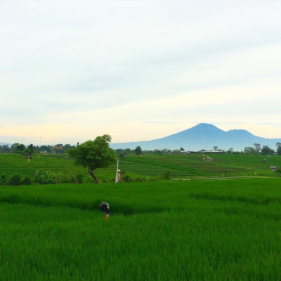 Canggu Beach Hostel Экстерьер фото